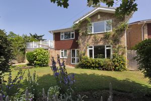 Photo 3- click for photo gallery